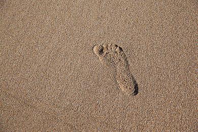 7月份XGP游戏阵容公开 《海岛大亨6》《灵媒》等加入